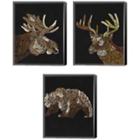 Framed 'Forest Dweller 3 Piece Canvas Print Set' border=