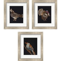 Framed 'Forest Dweller 3 Piece Framed Art Print Set' border=