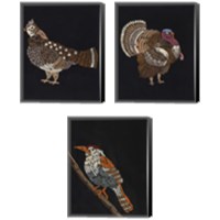 Framed 'Forest Dweller 3 Piece Canvas Print Set' border=