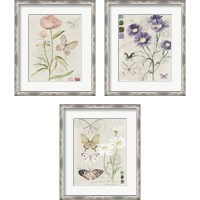 Framed 'Field Notes Florals 3 Piece Framed Art Print Set' border=