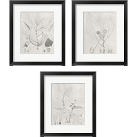 Framed 'Vintage Leaves 3 Piece Framed Art Print Set' border=