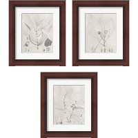 Framed 'Vintage Leaves 3 Piece Framed Art Print Set' border=