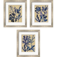 Framed 'Underwater Forest 3 Piece Framed Art Print Set' border=