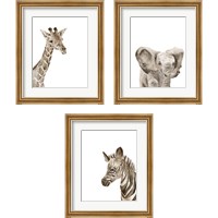 Framed 'Safari Animal Portraits 3 Piece Framed Art Print Set' border=