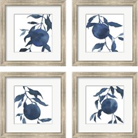 Framed 'Indigo Oranges 4 Piece Framed Art Print Set' border=