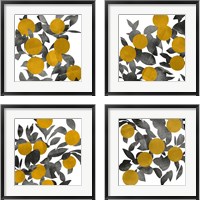 Framed 'Shadow Branch 4 Piece Framed Art Print Set' border=