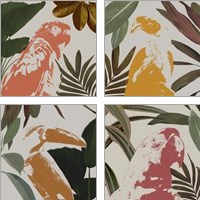 Framed 'Graphic Tropical Bird  4 Piece Art Print Set' border=