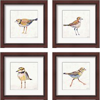 Framed 'Coastal Plover Linen 4 Piece Framed Art Print Set' border=