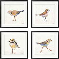 Framed 'Coastal Plover Linen 4 Piece Framed Art Print Set' border=