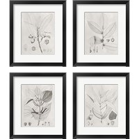 Framed 'Vintage Leaves 4 Piece Framed Art Print Set' border=