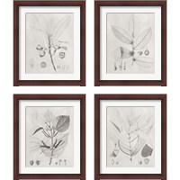 Framed 'Vintage Leaves 4 Piece Framed Art Print Set' border=