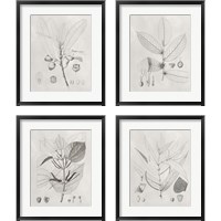 Framed 'Vintage Leaves 4 Piece Framed Art Print Set' border=