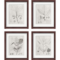 Framed 'Vintage Leaves 4 Piece Framed Art Print Set' border=
