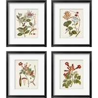 Framed 'Vintage Flowering Trees 4 Piece Framed Art Print Set' border=