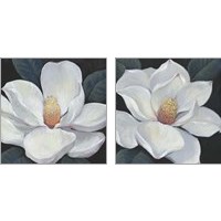 Framed 'Blooming Magnolia 2 Piece Art Print Set' border=