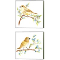 Framed 'Springtime Songbirds 2 Piece Canvas Print Set' border=