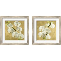 Framed 'Orchids on a Golden Background 2 Piece Framed Art Print Set' border=