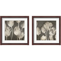 Framed 'Washed Tulips 2 Piece Framed Art Print Set' border=