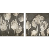 Framed 'Washed Tulips 2 Piece Art Print Set' border=