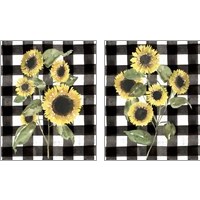 Framed 'Buffalo Check Sunflower 2 Piece Art Print Set' border=