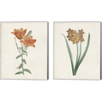 Framed 'Classic Botanicals 2 Piece Canvas Print Set' border=