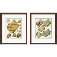 Framed 'Pastel Shell Pair 2 Piece Framed Art Print Set' border=