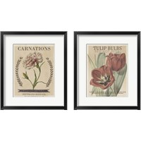 Framed 'Vintage Seed Packets 2 Piece Framed Art Print Set' border=