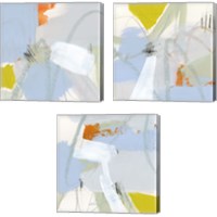 Framed 'Colorful Crop 3 Piece Canvas Print Set' border=