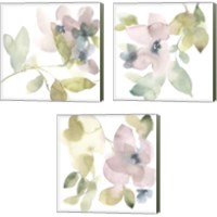 Framed 'Sweet Petals and Leaves 3 Piece Canvas Print Set' border=