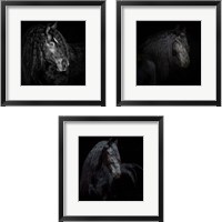 Framed 'Equine Portrait 3 Piece Framed Art Print Set' border=