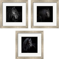 Framed 'Equine Portrait 3 Piece Framed Art Print Set' border=