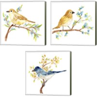 Framed 'Springtime Songbirds 3 Piece Canvas Print Set' border=