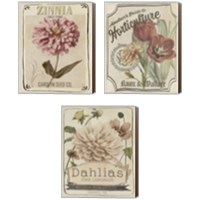 Framed 'Vintage Seed Packets 3 Piece Canvas Print Set' border=