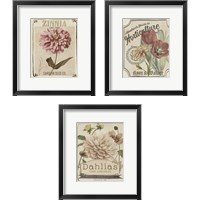 Framed 'Vintage Seed Packets 3 Piece Framed Art Print Set' border=