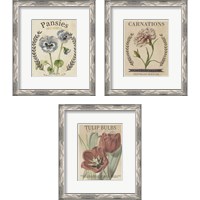 Framed 'Vintage Seed Packets 3 Piece Framed Art Print Set' border=