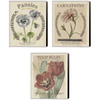 Framed 'Vintage Seed Packets 3 Piece Canvas Print Set' border=