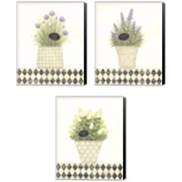 Framed 'Herb 3 Piece Canvas Print Set' border=