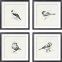 Framed 'Bird Feeder Friends 4 Piece Framed Art Print Set' border=