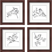 Framed 'Simple Songbird Sketches 4 Piece Framed Art Print Set' border=