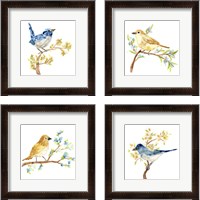 Framed 'Springtime Songbirds 4 Piece Framed Art Print Set' border=