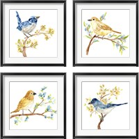 Framed 'Springtime Songbirds 4 Piece Framed Art Print Set' border=