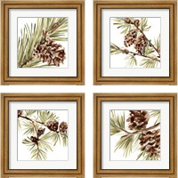 Framed 'Simple Pine Cone 4 Piece Framed Art Print Set' border=