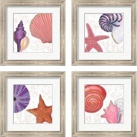 Framed 'Shimmering Shells 4 Piece Framed Art Print Set' border=