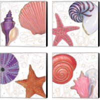 Framed 'Shimmering Shells 4 Piece Canvas Print Set' border=