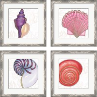 Framed 'Shimmering Shells 4 Piece Framed Art Print Set' border=