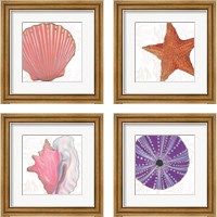 Framed 'Shimmering Shells 4 Piece Framed Art Print Set' border=