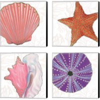 Framed 'Shimmering Shells 4 Piece Canvas Print Set' border=