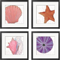 Framed 'Shimmering Shells 4 Piece Framed Art Print Set' border=