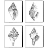 Framed 'Quiet Conchvvvv 4 Piece Canvas Print Set' border=