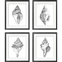 Framed 'Quiet Conchvvvv 4 Piece Framed Art Print Set' border=